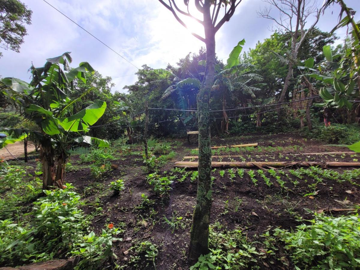 Granja Los Campesinos Monteverde Екстериор снимка