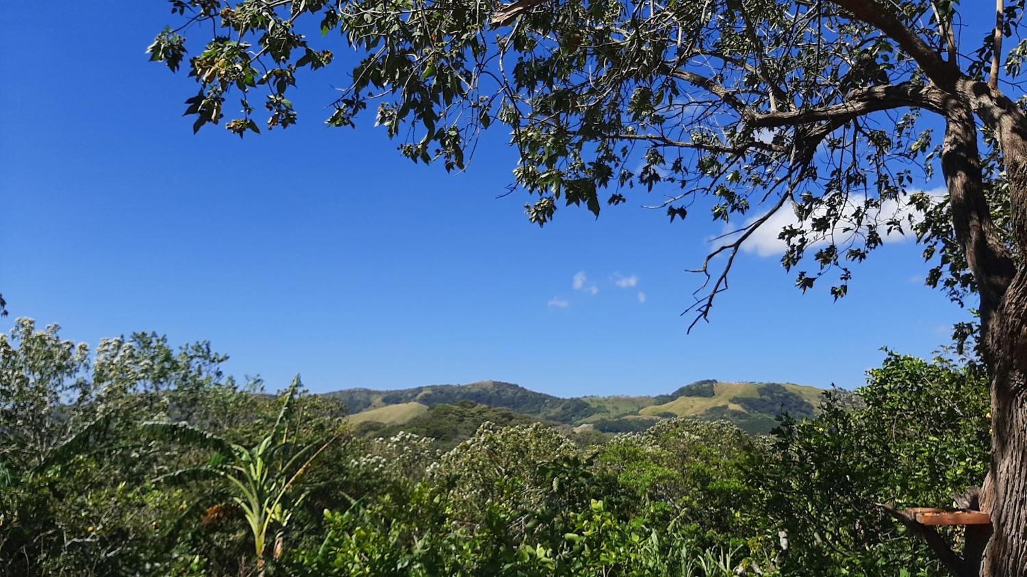 Granja Los Campesinos Monteverde Екстериор снимка
